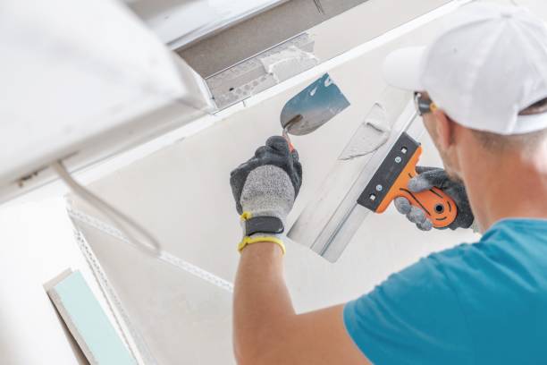  Peoria Heights, IL Drywall & Painting Services Pros